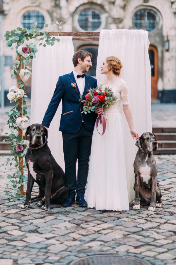 7 Ways to Include Pets at Your Wedding